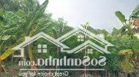 177M2 Đất Ngay Chợ Long Trường - Khu Dân Cư Phân Lô - Mặt Tiền Đường 8M - Ngang Khủng 8M