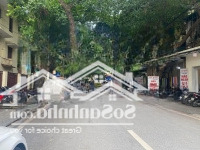 Châu Long Ba Đình 320M2 2 Tầng Mặt Tiền 11M Giá Bán 250 Tỷ