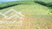 Bán 4,5 Ha Đất Đỏ Ở Ea Bar Sông Hinh Phú Yên