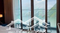 Chính Chủ Cắt Lỗ Studio Mặt Biển 42M2 Crystal Vân Đồn Quảng Ninh 500 Triệu