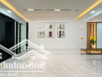 Super Luxury Kinh Doanh Siêu Đỉnh Tân Vĩnh, P6, Q4. Diện Tích: 56M2 Sổ Riêng, Đang Cho Thuê 25 Triệu