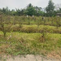8 lô liền Cách ngã tư Lạc Tấn chỉ hơn 1km - DT : 5×29m ONT  Giá : 499tr thương lượng