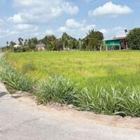  bán đất thổ cư Gần chợ tân trụ 700m tới đất  - DT : 5x23 ONT Giá 470tr  Thuộc Xã đức tân , Tân Trụ , Long An