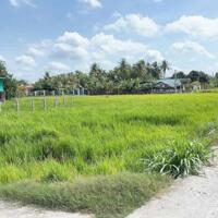  bán đất thổ cư Gần chợ tân trụ 700m tới đất  - DT : 5x23 ONT Giá 470tr  Thuộc Xã đức tân , Tân Trụ , Long An