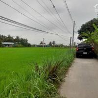  bán đất thổ cư Gần chợ tân trụ 700m tới đất  - DT : 5x23 ONT Giá 470tr  Thuộc Xã đức tân , Tân Trụ , Long An