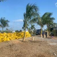 Đất ở đô thị. Ra đường Nguyễn Trung Trực, công viên, chợ, uỷ ban, trường học chỉ 500m - Diện tích 5,5m x 25,17m (125,5 m2) có nền   Giá 1ty350tr thương lượng