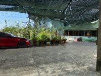 Bán Đất Chính Chủ Mặt Tiền Vĩnh Long. Tân An, Tân Hạnh, Long Hồ, Vĩnh Long
