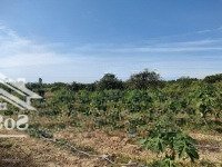 Kẹt Tiền Kinh Doanh Bán Nhanh Lô Đất Vườn 1000M2, Giá Chỉ 490 Triệu Đường Ô Tô Đến Đất