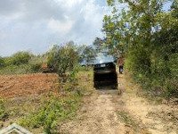 Kẹt Tiền Kinh Doanh Bán Nhanh Lô Đất Vườn 1000M2, Giá Chỉ 490 Triệu Đường Ô Tô Đến Đất