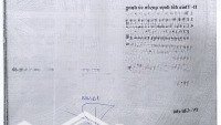 Bán Đất Tại Đường Số 47, 12,5 Tỷ (Có Thương Lượng), 156M2 Full Thổ Cư, Bình Trưng Đông, Thủ Đức