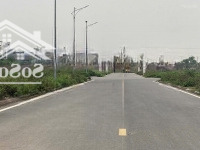 Bán 373M Đất Biệt Thự Khu Phân Lô Đồng Bồ - Đằng Hải - Hải An - Hải Phòng Zá Tốt