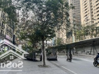 Bán Gấp Shophouse 7 Tầng Terra An Hưng, Mặt Phố Tố Hữu (Nguyễn Thanh Bình), Đối Diện Siêu Thị
