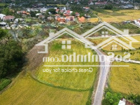 Tôi Bán Miếng Đất 2235M2 Cách Đại Lộ Võ Nguyên Giáp 20M. Qh Full Thổ Cư
