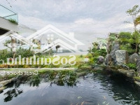 Gia Đình Bán Bt View Hồ To Như Hìnhh, Bể Bơi Riêng, Góc Vip. Rộng 1040M2. Thu Nhập 70- 120 Triệu/Tháng