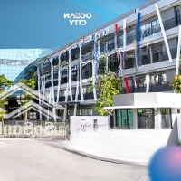 Duy Nhất 1 Shophouse Căn Xẻ Khe Giá Tốt Đường Lớn Tại Vinhomes Ocean Park 3 Mua Là Thắng