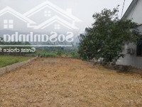 Phân Khúc Tc Hơn 2X Tỷ Tại Yên Bài Ba Vì Hàng Hiếm .Diện Tíchhơn 468M Gần Trục Chính Thôn Liên Hệ: 0975112668