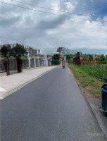 Đất Nhà Cần Bán Tại Gia Lộc. Trảng Bàng. Shr. Giá Đầu Tư 350 Triệu. Diện Tích 157M2. Đường Lớn Thông