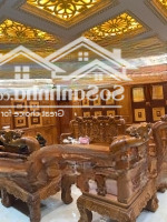 Biệt Thự Cổng Vàng, Rẻ Nhất Sài Gòn, 4 Tầng, 500M2, Linh Chiểu, Thủ Đức, Giá Bán 31Ty