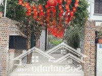 Bán 40M2,Mặt Tiền: 3.78M Hậu 3.78M Đường 4M Đông Dư, Gia Lâm Cực Đẹp