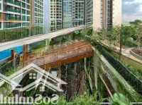 Siêu Hot! 9 Ch Feliz En Vista Cho Thuê Giá Tốt Nhất! Nhiều Lựa Chọn - Giá Ưu Đãi - Dọn Vào Ở Ngay!