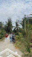 Mặt Tiền Trực Diện Sông Tân Phú Đông, Tiền Giang, Thoáng Mát Trong Lành. Giá Chỉ: 485 Triệu Ạ