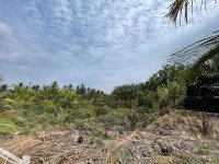 Mặt Tiền Trực Diện Sông Tân Phú Đông, Tiền Giang, Thoáng Mát Trong Lành. Giá Chỉ: 485 Triệu Ạ
