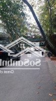 Cần Bán Đất Mặt Phố Lê Quý Đôn