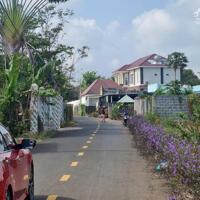Bán đất sổ hồng chính chủ - Đường Cao văn Ngọc -TT Đất Đỏ , Long Đất , BRVT giá rẻ