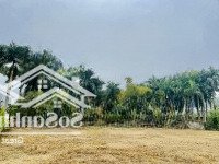 Bán Mảnh Đất Đẹp Tại Ba Vì, Hà Nội - Cơ Hội Đầu Tư Sinh Lời Cao