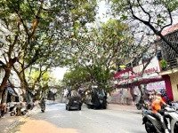 Hoa Hậu Mặt Phố Ngọc Lâm, Vị Trí Đẹp Nhất, Kinh Doanh Sầm Uất,Diện Tích115M2 - 33 Tỷ