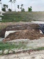 Chủ Gửi Bán Lô Đất Mặt Đg Nhựa 11M Tại Minh Đức Đồ Sơn 96M2 Ngang 5M Giá Chỉ 1,8 Tỷ Xxx