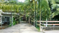 Bán Đất An Sơn 32, Gần Vành Đai 3, Diện Tích: 15X32M (500M), Thổ Cư 100M, 4.6 Tỷ