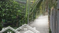 Bán Đất An Sơn 32, Gần Vành Đai 3, Diện Tích: 15X32M (500M), Thổ Cư 100M, 4.6 Tỷ