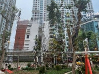 Chính Chủ Cho Thuê Căn Liền Kề Xây 6 Tầng. Diện Tích: 100M2/Sàn Mặt Vườn Hoa, Nhà 2 Mặt Tiền. Giá 40 Triệu/Tháng