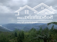 Bán Đất Khu Du Lịch Nhà Trịnh Tường Cổ