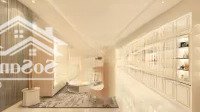 Tòa Nhà Hầm + 8 Tầng Mặt Tiền 55A Trần Đình Xu, Quận 1 - Hđt: 150 Triệu/Th - Giá Chỉ 40 Tỷ