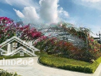 Bán Nhà Khu Đô Thị Mỹ Gia Gói 8- Đường Thông View Đường Hoa Giấy- Gần Hồ Bơi - Sẵn Hợp Đồng Thuê