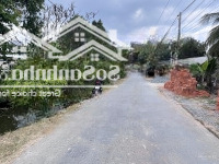 Mặt Tiền Nhựa, Cách Ql1A 300M - Khu Đông Đúc, Ko Mồ Mã, Ko Quy Hoạch