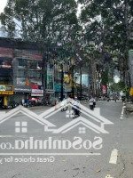 Siêu Phẩm! Tòa Nhà Ngay Trần Hưng Đạo Q1 -Diện Tích8X20M - Hầm + 9 Tầng - Hđt 350 Triệu - Giá Chỉ 99 Tỷ
