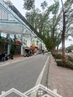 Hiếm Nhà Vừa Ở Vừa Kinh Doanh Nguyễn Chính Không Có Căn Thứ 2: 45M2 X 5 Tầng, Mặt Tiền 6.3M