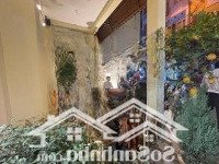 Nhà Mặt Phố Phường Cát Linh- Mặt Tiền 9,7M -Diện Tíchkhủng- Cơ Hội Kinh Doanh Cho Ai Nắm Bắt Được