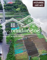 Bán Đất Phía Sau Nhà Là Sông Sài Gòn. Diện Tích: 860M2(17X51M2). Giá Bán 70Tỷ. Phù Hợp Xây Biệt Phủ View Sông