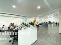 Bán Tòa Văn Phòng 6 Tầng Đang Cho Thuê Full Dòng Tiền 50 Triệu/Th Mặt Tiền Sát Hoàng Thị Loan