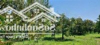 Bán Đất Ngay Trung Tâm Xã Hòa Nam Giá Đầu Tư