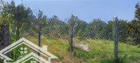 Bán Đất Ngay Trung Tâm Xã Hòa Nam Giá Đầu Tư