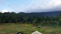 Bán Trang Trại Nghỉ Dưỡng View Suối Tại Khu Kinh Tế Vân Phong Huyện Vạn Ninh, Khánh Hòa