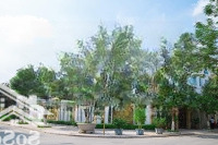Bán Biệt Thự An Khang 225M Hoàn Thiện Đẹp,Full Nội Thất Nhập Khẩu Châu Âu, Giá Bán 35 Tỷ