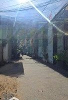 Quận 3, Kỳ Đồng, Hxh, Thông Tứ Tung, Sẵn Dòng Tiền 17 Triệu/Tháng, 4 Tầng Hoàn Công, 3Pn