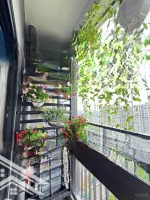 Cần Bán Liền Kề Văn Quán,Diện Tích100M2, 5 Tầng, Giá Bán 24 Tỷ. Lh Kiều Thuý 0949 170 979