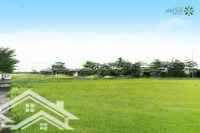 Dự Án Đất Nền Thương Mại Đức Hòa Central (Hiệp Trường Phát) Của Chủ Đầu Tư Haithanh Group